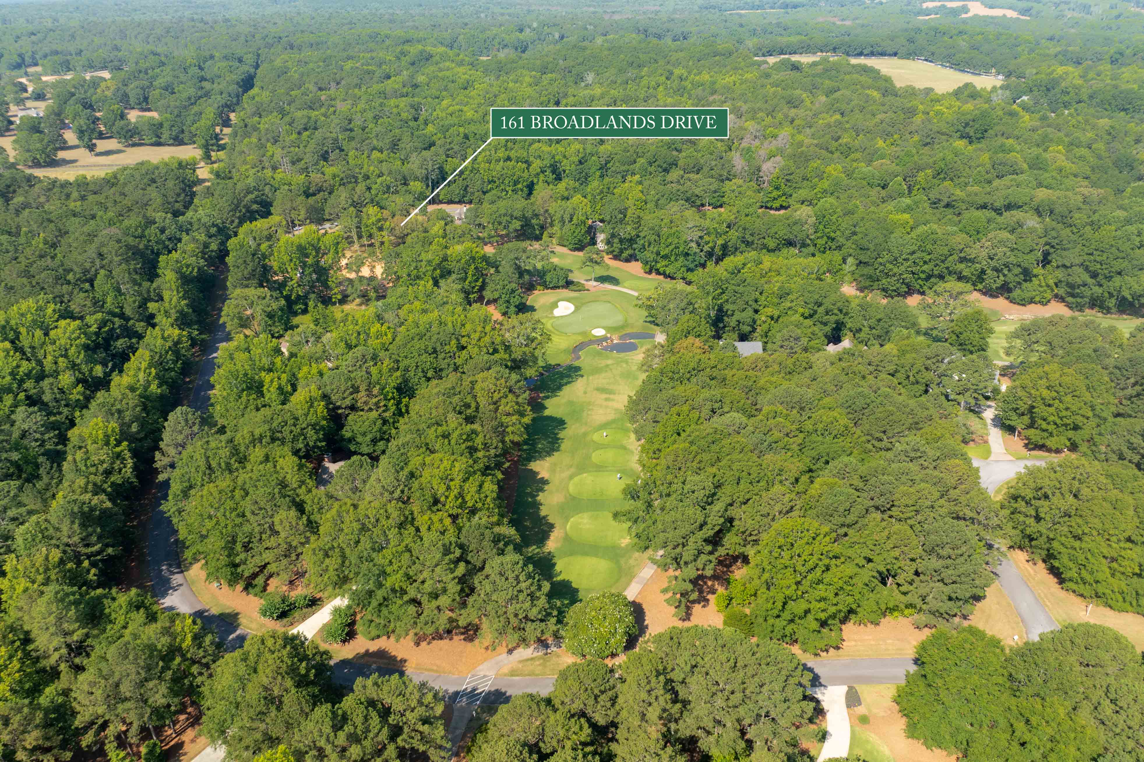 161 Broadlands Drive image 5